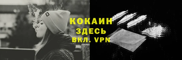 твердый Аркадак
