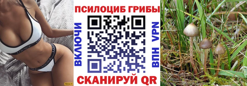 Галлюциногенные грибы ЛСД  omg ONION  Боготол 